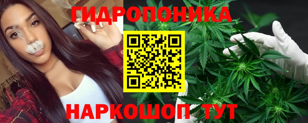 Бошки Шишки SATIVA & INDICA Советск